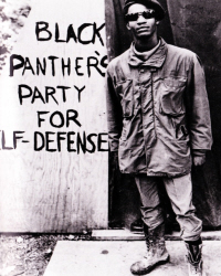 The Black Panthers.